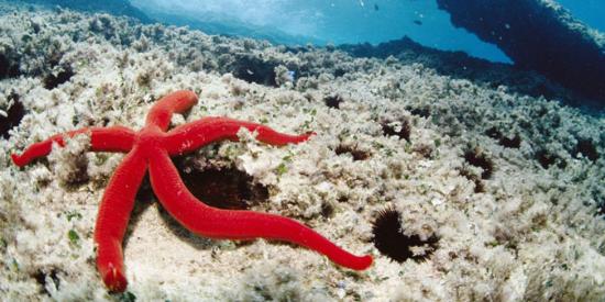 cosa vedere a isola capo rizzuto